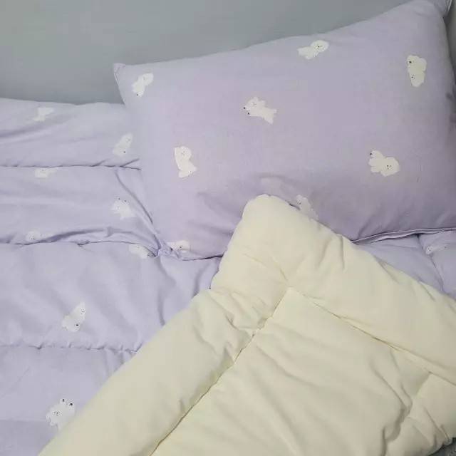 LINE_NOTE_251214_10 【韓國冬被】正韓🇰🇷慵懶比熊毛絨 雙材質冬被