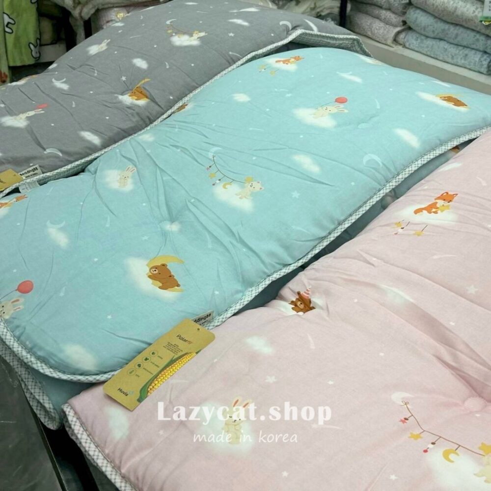 18434436 (26) (預購)【韓國四季被】正韓🇰🇷美好夢鄉 四季被🌙(有寶寶被)
