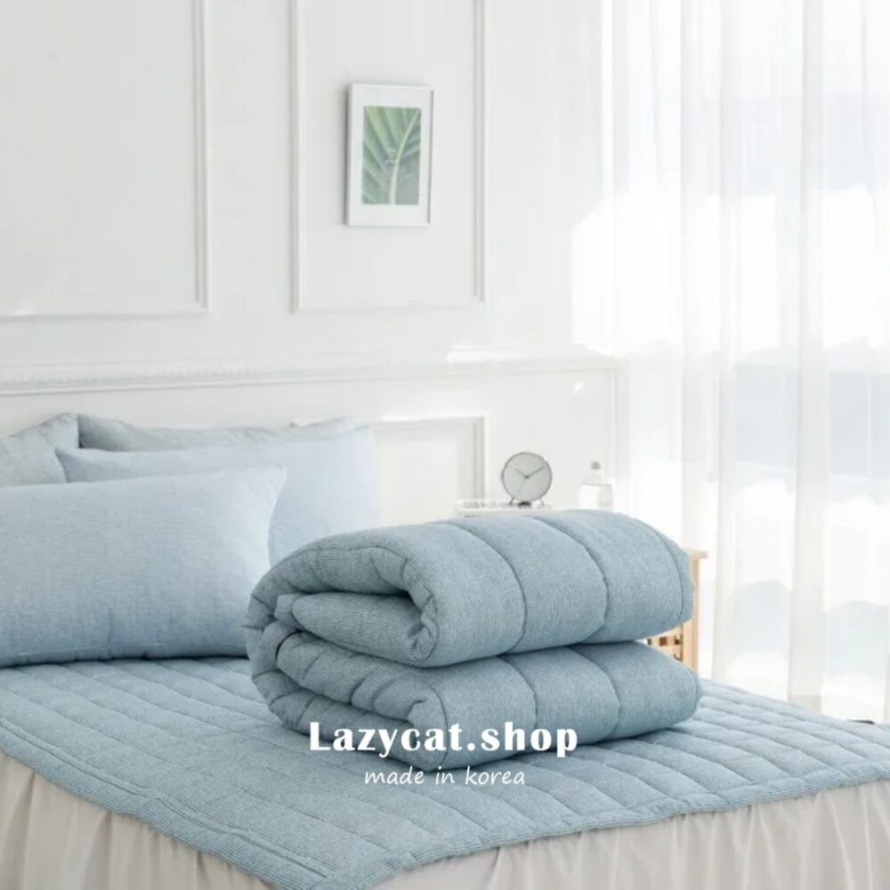 LINE_NOTE_260112_23 【韓國四季被】正韓🇰🇷簡約條紋 薄款四季被