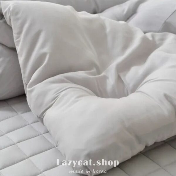 LINE_NOTE_260212_2 (現貨)【韓國四季被】正韓🇰🇷無印素色百搭 厚款四季被🩶