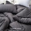 LINE_NOTE_260212_3 (預購)【韓國四季被】正韓🇰🇷無印素色百搭 厚款四季被🩶
