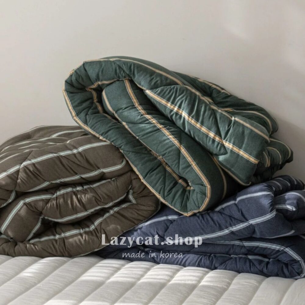 LINE_NOTE_260214_1 (預購)【韓國四季被】正韓🇰🇷摩登條紋 厚款四季被🎩