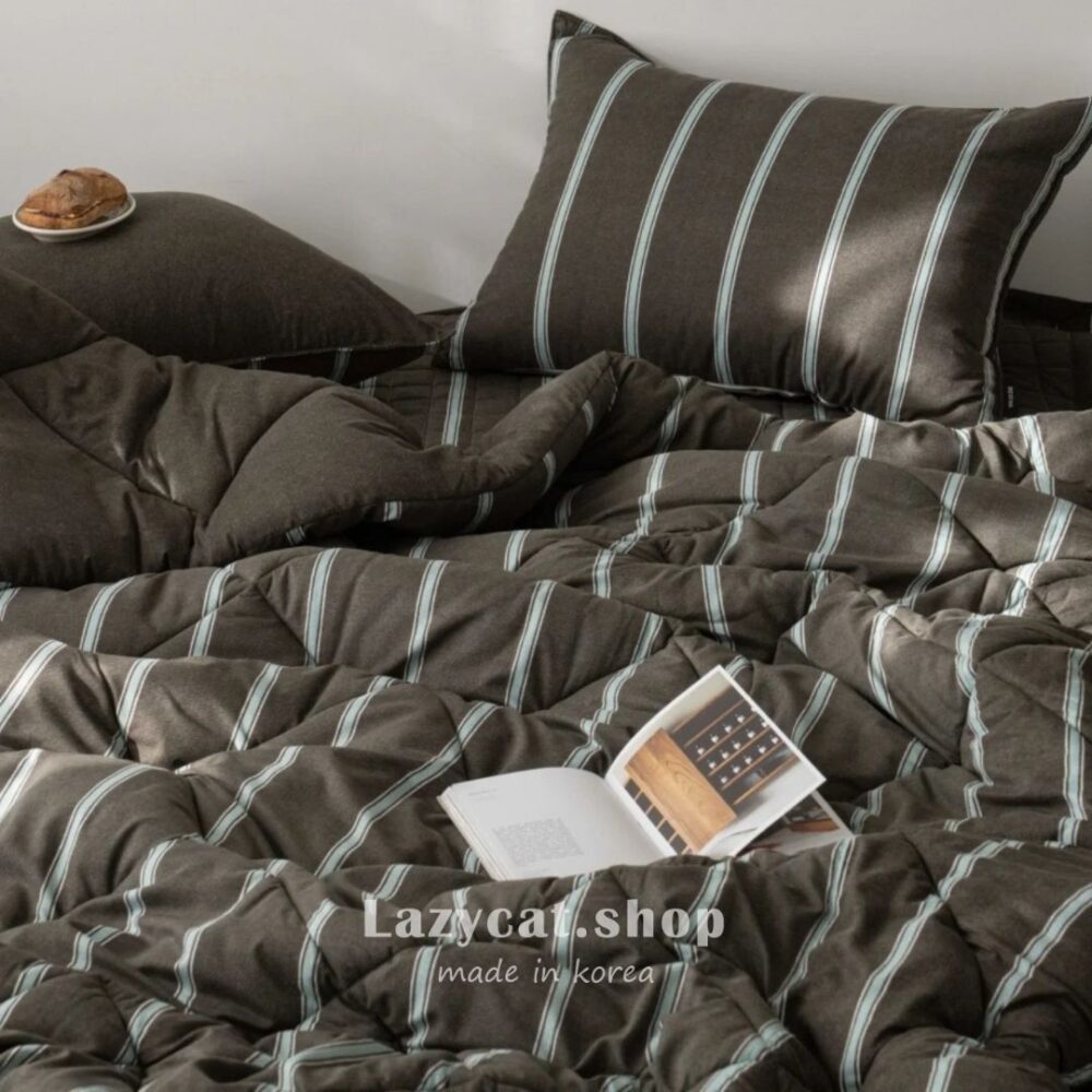 LINE_NOTE_260214_4 (預購)【韓國四季被】正韓🇰🇷摩登條紋 厚款四季被🎩