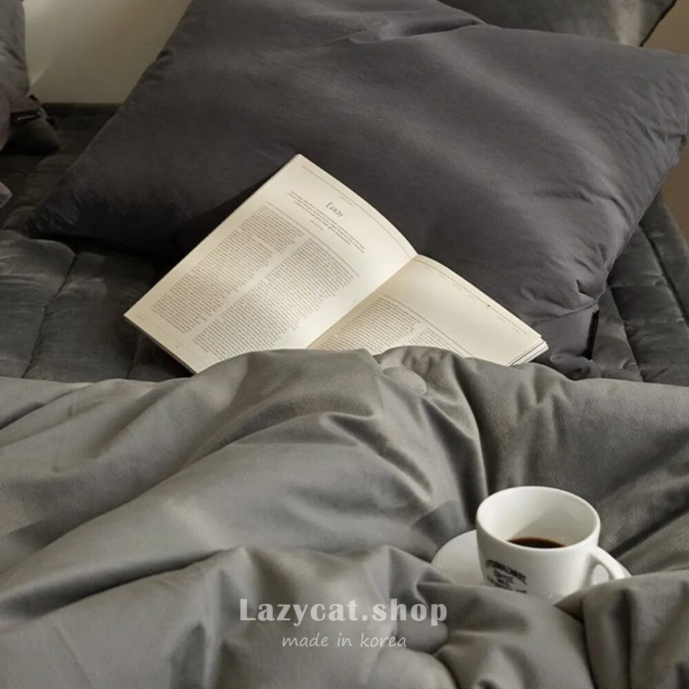 LINE_NOTE_260215_39 (預購)【韓國冬被】正韓🇰🇷五星級四季想睡🌡️雙材質厚冬被