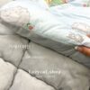 (預購)【韓國冬被】正韓🇰🇷溫暖小王子 雙材質冬被(只有單人)