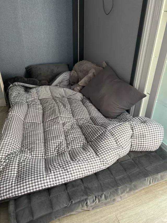 LINE_NOTE_260216_70 (預購)【韓國床墊】正韓🇰🇷maatila素面毛絨格子🌡️冬季床墊(三個尺寸)