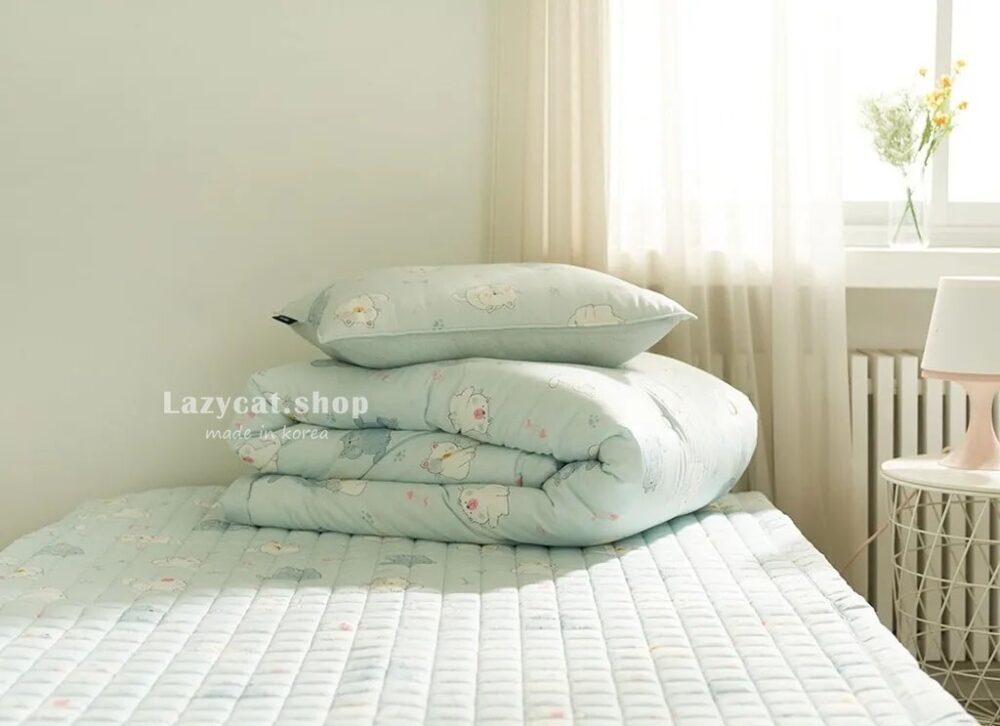 LINE_NOTE_260326_57 (預購)【韓國四季被】正韓🇰🇷超可愛小胖貓 薄款四季被