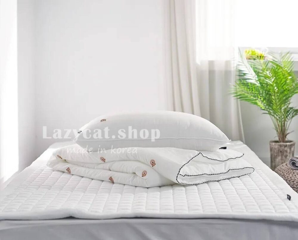 LINE_NOTE_260326_63 (預購)【韓國四季被】正韓🇰🇷刺繡笑臉熊頭滾邊 薄款四季被🐻