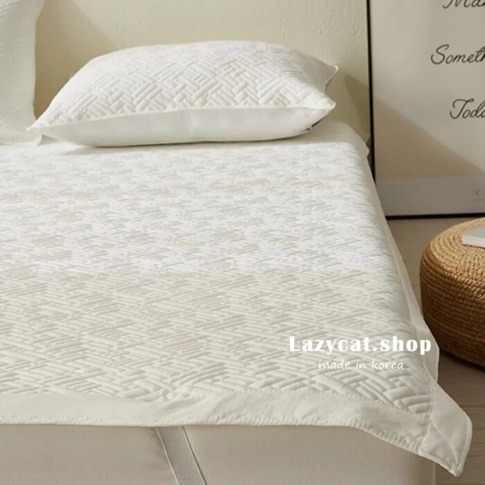 LINE_NOTE_260330_26 (預購)【韓國床墊】正韓🇰🇷涼感冰磚 涼感降溫床墊🧊