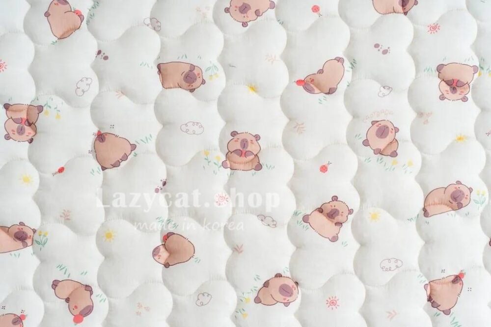 1718185_0 (預購)【韓國四季被】正韓🇰🇷卡皮巴拉🍊薄款四季被