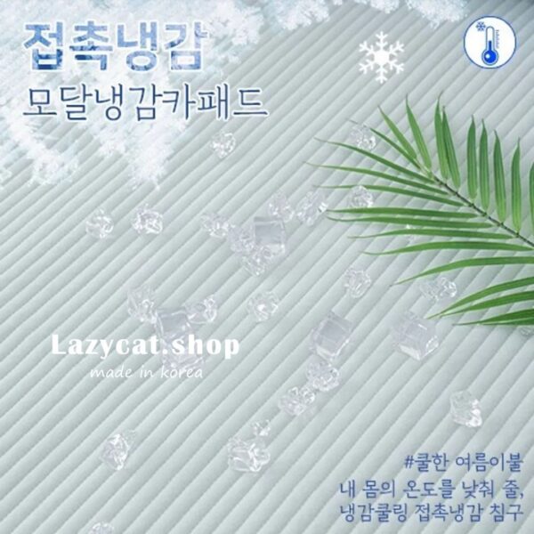 LINE_NOTE_260401_1 (預購)【韓國床墊】正韓🇰🇷涼感莫代爾 涼感降溫床墊🧊