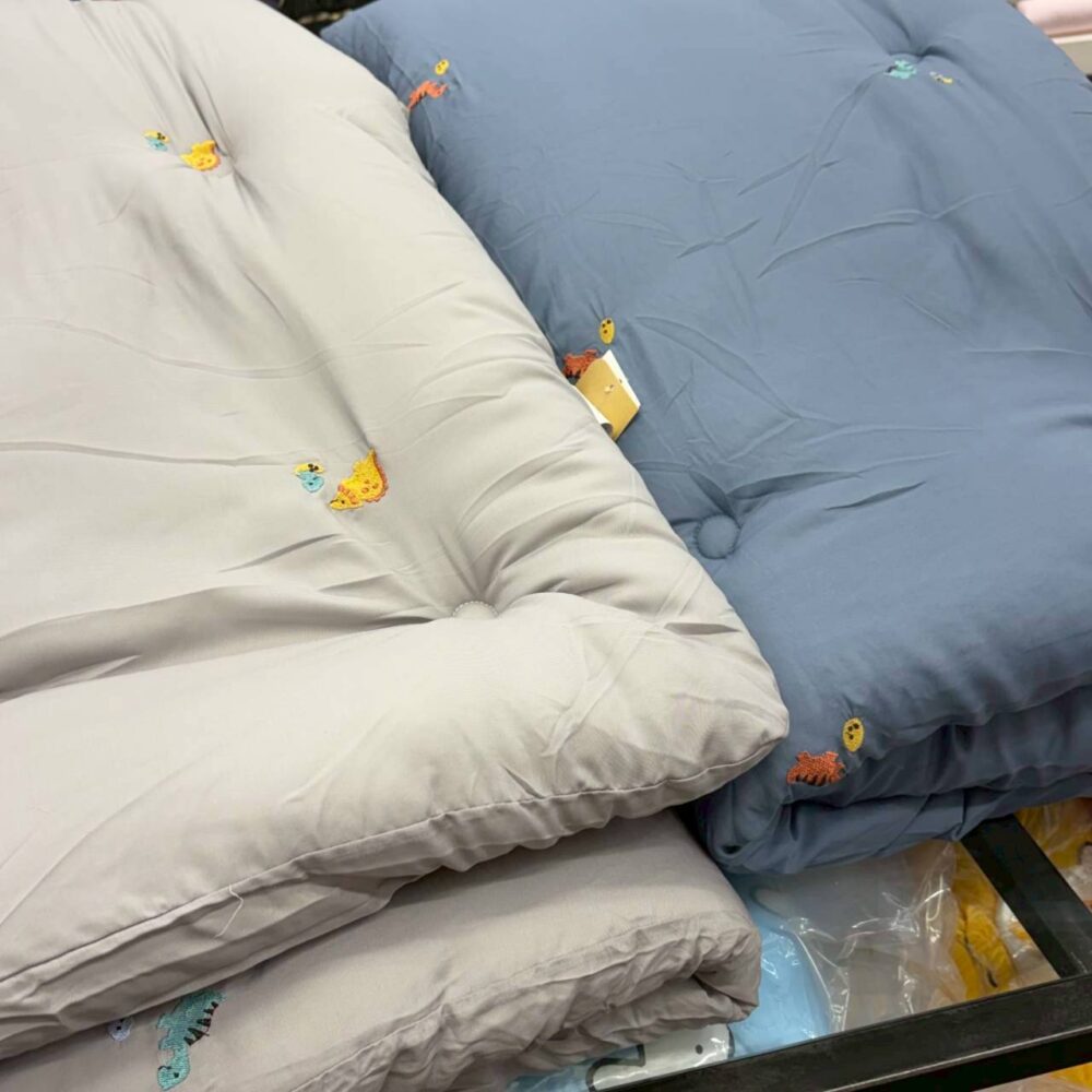 刺繡小恐龍 (1) (預購)【韓國四季被】正韓🇰🇷刺繡侏儸紀恐龍🦖薄款/厚款四季被