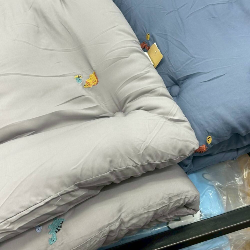 刺繡小恐龍 (5) (預購)【韓國四季被】正韓🇰🇷刺繡侏儸紀恐龍🦖薄款/厚款四季被