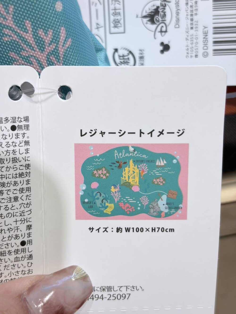 1795494_0 (現貨)【日本帶回】日本迪士尼 野餐墊 海灘墊