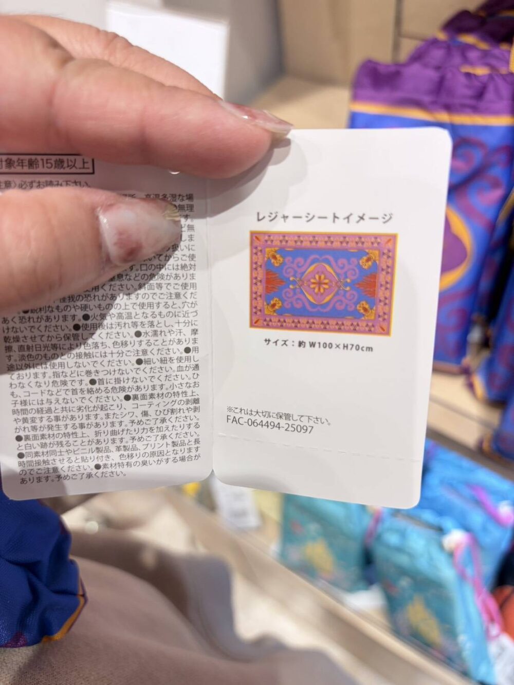 1795497_0 (現貨)【日本帶回】日本迪士尼 野餐墊 海灘墊