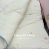 (預購)【韓國四季被】正韓🇰🇷刺繡微笑星星四季被