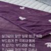 (預購)【韓國毛毯】正韓🇰🇷鬆軟小狗狗毛毯