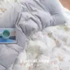 (預購)【韓國冬被】正韓🇰🇷微風熱氣球 雙材質冬被